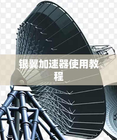 银翼加速器使用教程