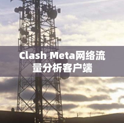 Clash Meta网络流量分析客户端 Clash Meta网络流量分析客户端