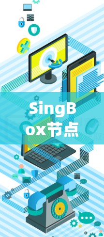 SingBox节点设置指南 SingBox节点设置指南