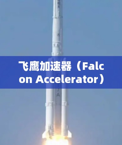 飞鹰加速器（Falcon Accelerator）的全球线路设计是一个复杂而高效的网络架构，旨在为用户提供快速、可靠的数据传输服务。以下是对其全球线路的详细分析