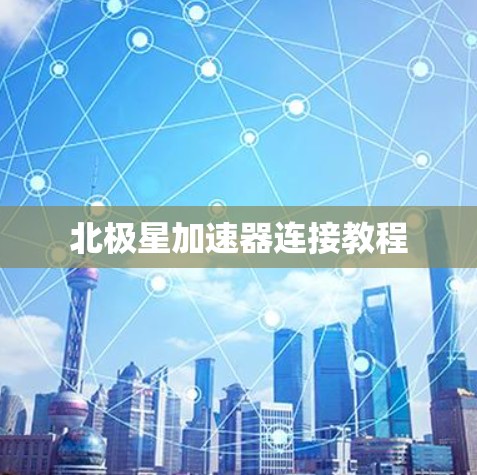 北极星加速器连接教程