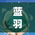 蓝羽加速器客户端，性能优化与网络加速解决方案